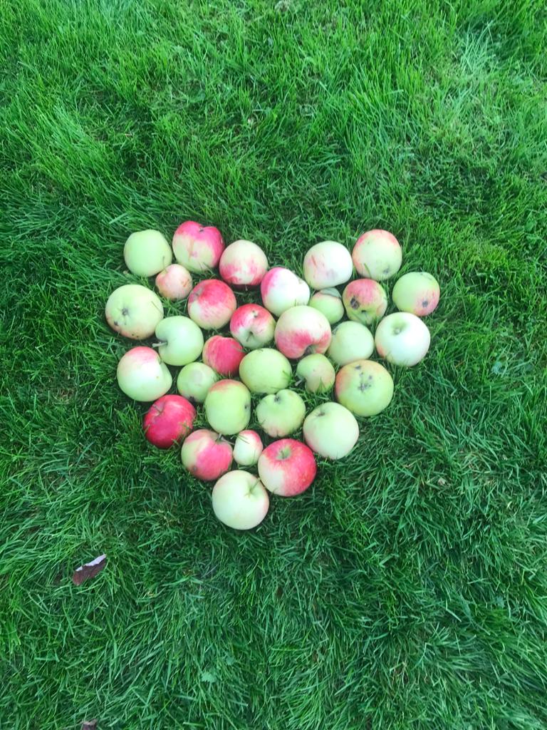Taloyhtiö ja vastuullisuus -trendikästä höpinää vai käytännön tekoja?